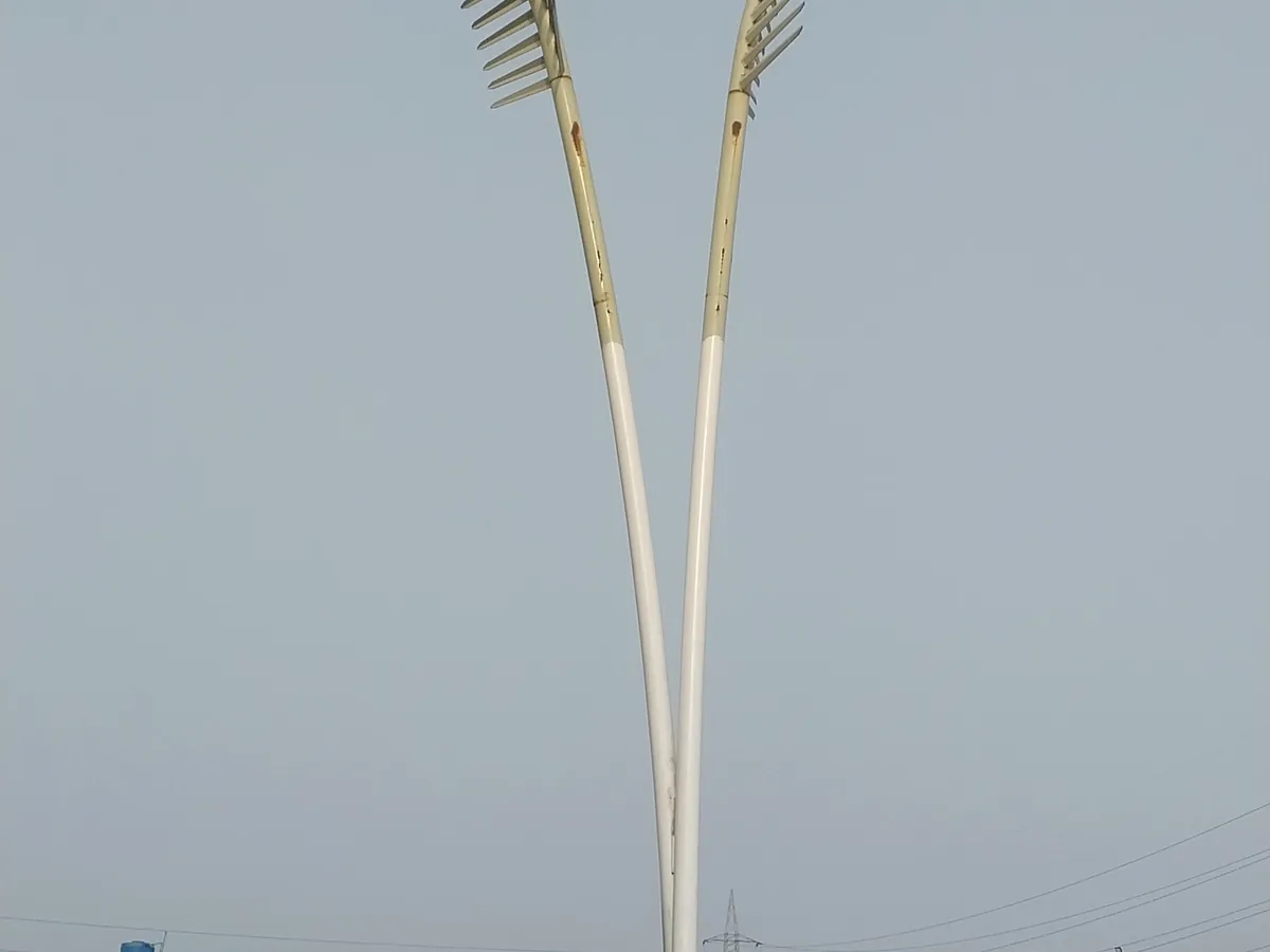 Modern Y shaped street light pole