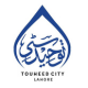 tohadeed city lahore logo